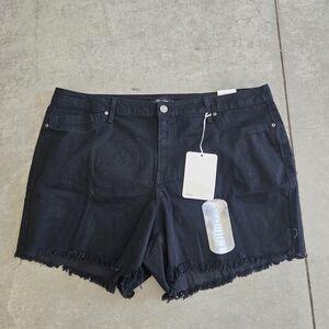 Stylish Black Frayed Hem Jean Shorts